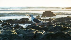 ハゲを隠すスプレーのおすすめ商品はどれですか？