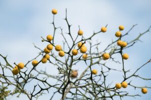 喫煙は薄毛に関係あるのか？