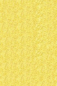 植毛費用はどのくらいかかるの？