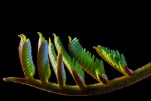 髪の毛を増やすための効果的な方法は？