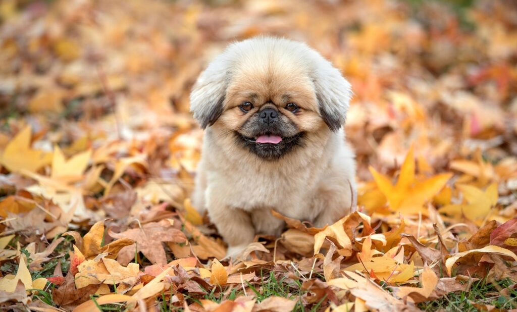 はげの対処法として効果的な方法は何ですか？