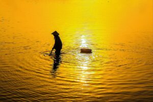 植毛におすすめのクリニックはどこですか？