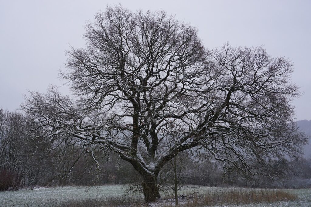 若ハゲ対策に効果的な方法とは？