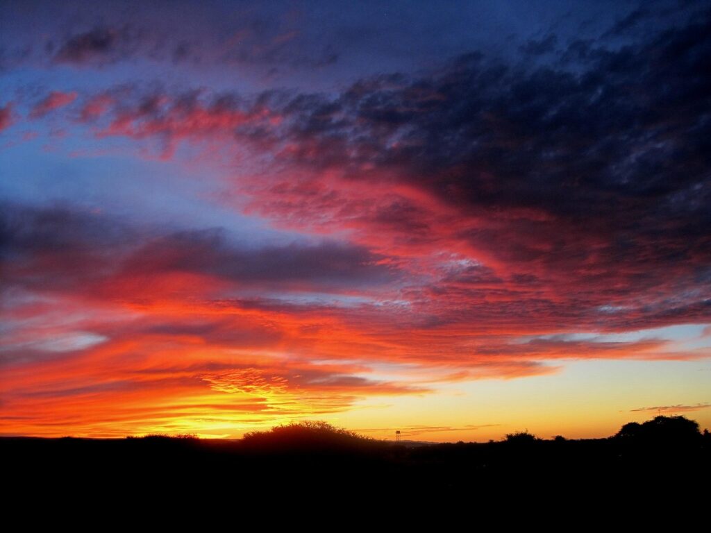 植毛の値段相場はどれくらい？