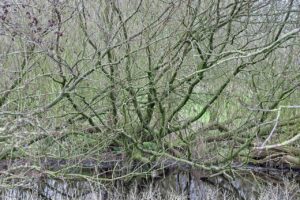 若ハゲの抜け毛を増やさない方法は？