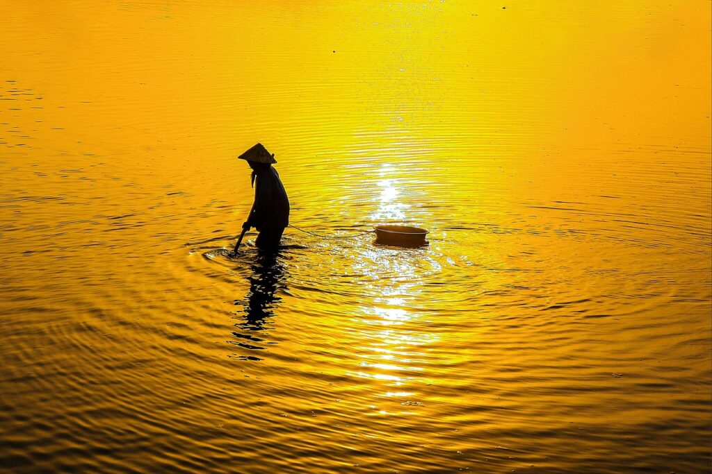 自毛植毛における中国の評判はどうなっているのか？