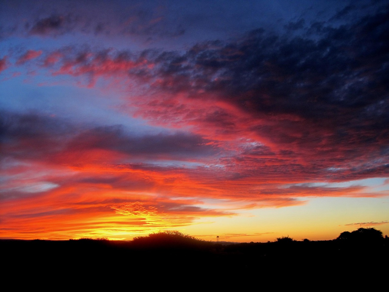 植毛の痛みはどのくらい続くのか？