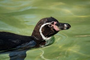 育毛に効果的な頭皮ケア化粧水の選び方は？