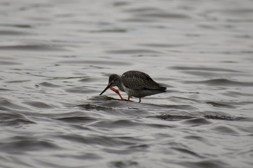 頭皮の痒みと薄毛の関係はどのようなものですか？