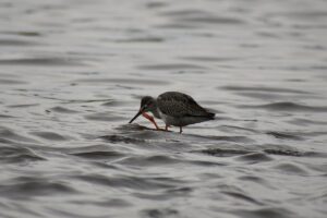 頭皮の痒みと薄毛の関係はどのようなものですか？