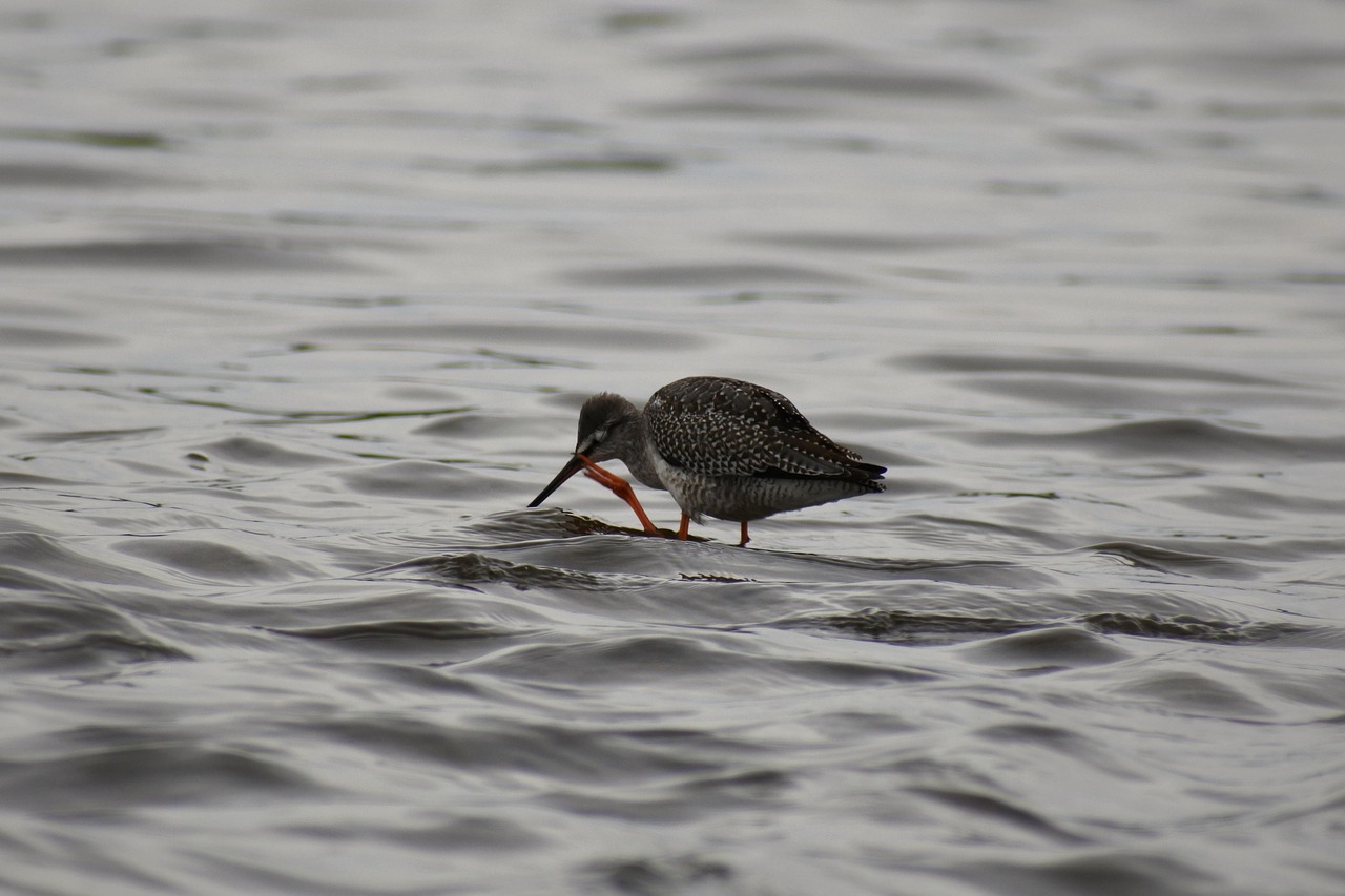 頭皮の痒みと薄毛の関係はどのようなものですか？