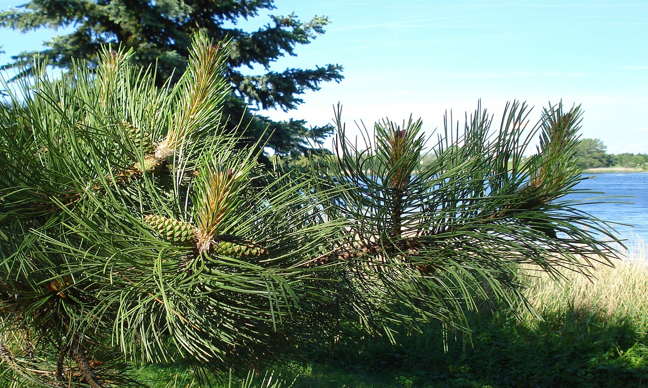 AGA専門の病院に行くべき理由とは？