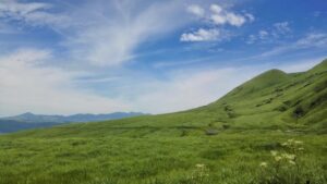 福岡の自毛植毛、口コミでわかる失敗しない選び方は？